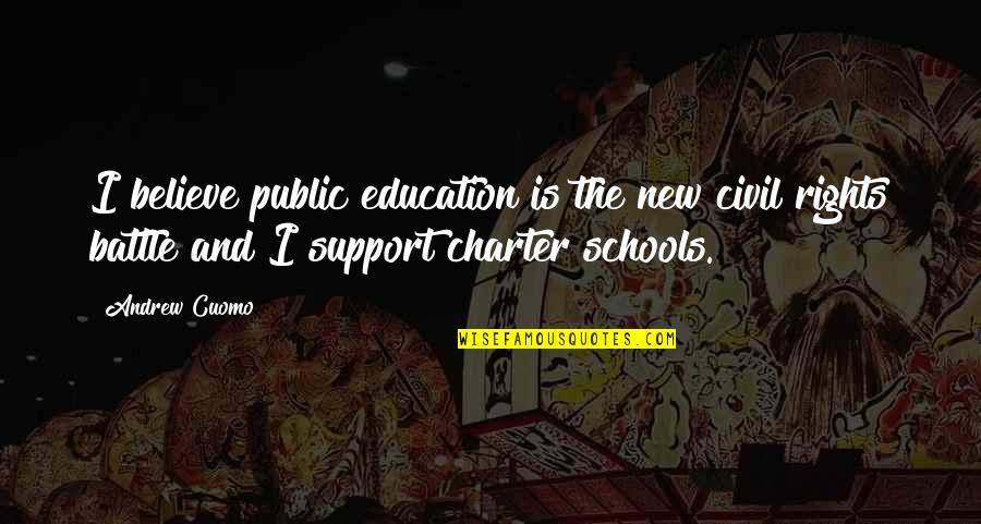 Public Education Quotes By Andrew Cuomo: I believe public education is the new civil