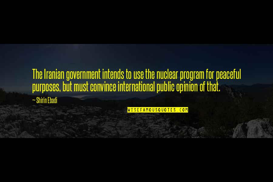 Public Government Quotes By Shirin Ebadi: The Iranian government intends to use the nuclear