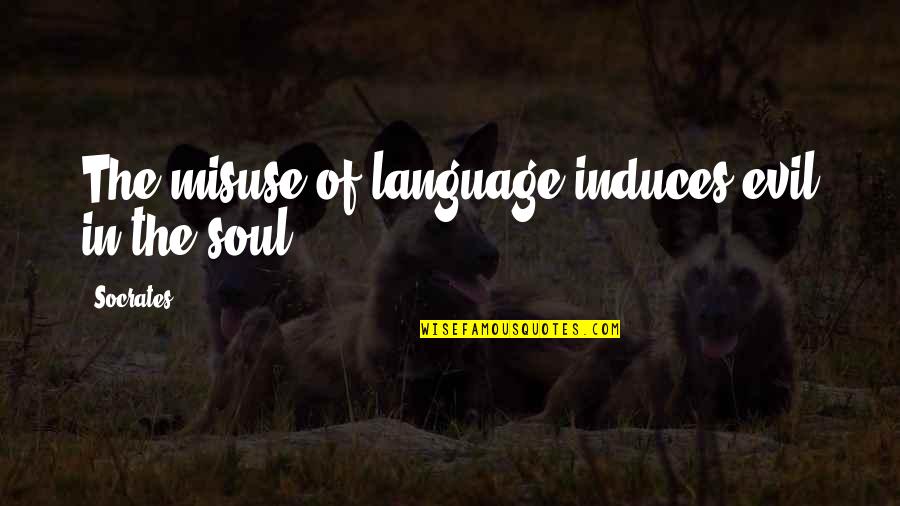 Public Notice Quotes By Socrates: The misuse of language induces evil in the