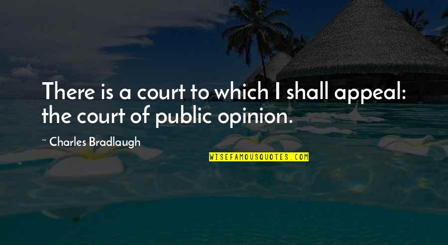 Public Opinion Quotes By Charles Bradlaugh: There is a court to which I shall