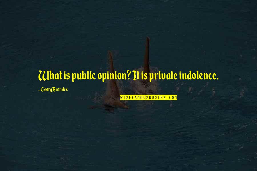 Public Opinion Quotes By Georg Brandes: What is public opinion? It is private indolence.