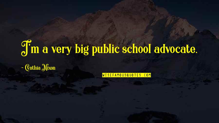 Public School Quotes By Cynthia Nixon: I'm a very big public school advocate.