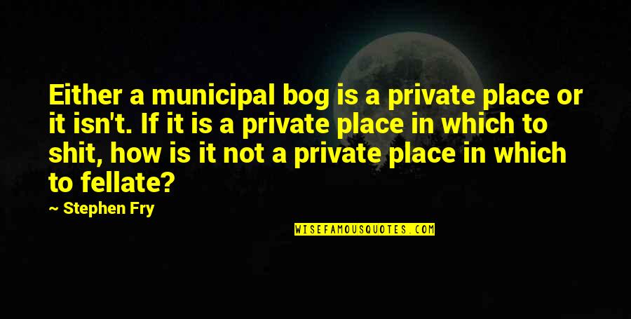 Public Toilets Quotes By Stephen Fry: Either a municipal bog is a private place
