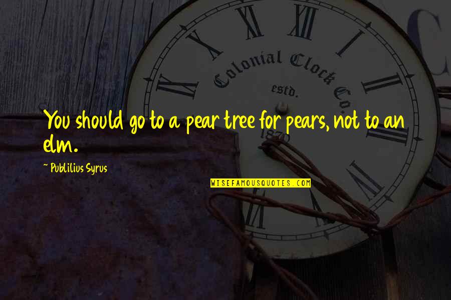 Publilius Quotes By Publilius Syrus: You should go to a pear tree for
