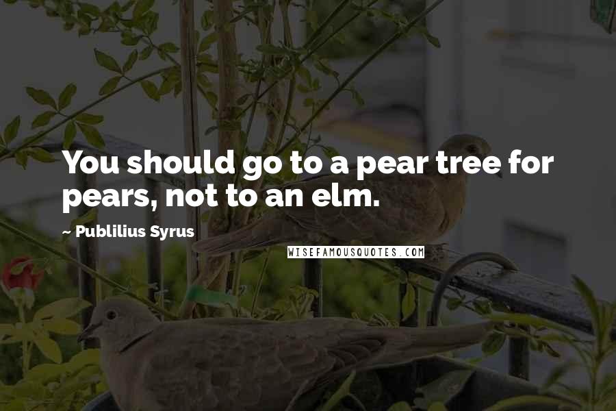 Publilius Syrus quotes: You should go to a pear tree for pears, not to an elm.