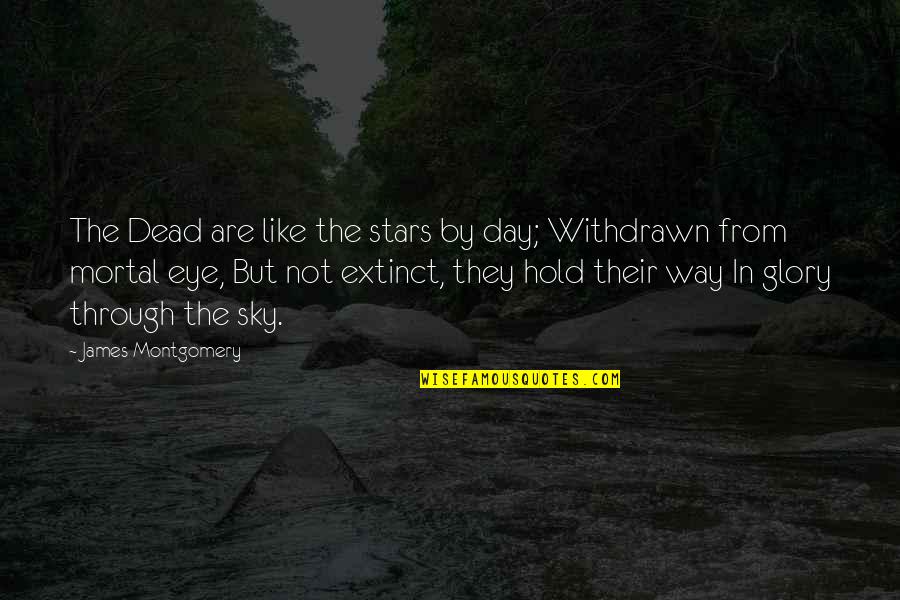 Pubudu Dewagama Quotes By James Montgomery: The Dead are like the stars by day;
