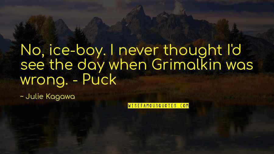 Puck Quotes By Julie Kagawa: No, ice-boy. I never thought I'd see the