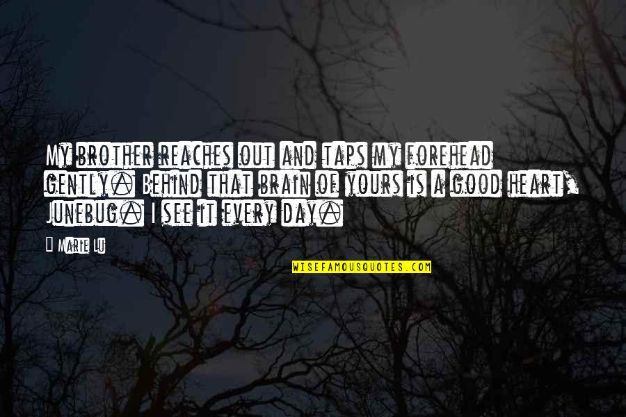 Puckers Quotes By Marie Lu: My brother reaches out and taps my forehead Puckers Quotes By Marie Lu: My brother reaches out and taps my forehead