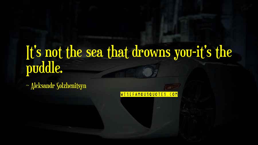 Puddles Quotes By Aleksandr Solzhenitsyn: It's not the sea that drowns you-it's the