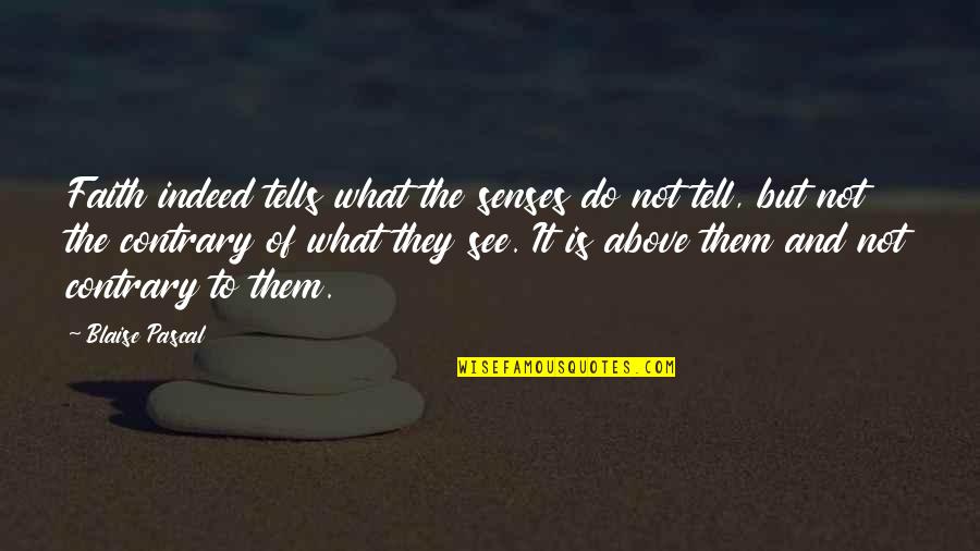 Pudera Ou Quotes By Blaise Pascal: Faith indeed tells what the senses do not Pudera Ou Quotes By Blaise Pascal: Faith indeed tells what the senses do not