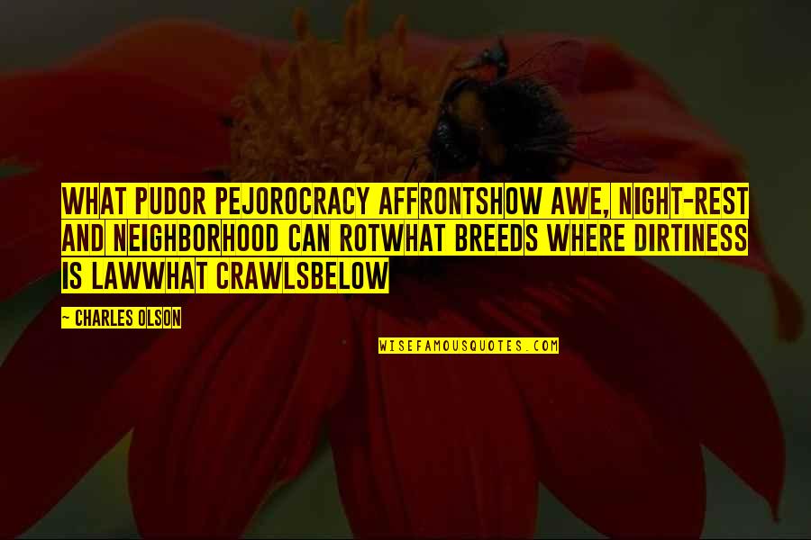 Pudor Quotes By Charles Olson: What pudor pejorocracy affrontshow awe, night-rest and neighborhood