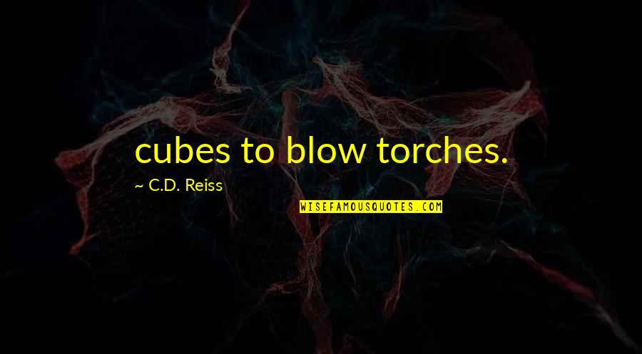 Puesto San Diego Quotes By C.D. Reiss: cubes to blow torches.