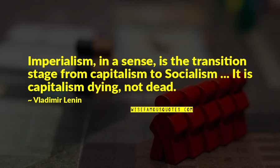 Puglisevich Newfoundland Quotes By Vladimir Lenin: Imperialism, in a sense, is the transition stage Puglisevich Newfoundland Quotes By Vladimir Lenin: Imperialism, in a sense, is the transition stage