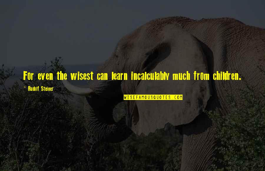 Pugmeister Llc Quotes By Rudolf Steiner: For even the wisest can learn incalculably much Pugmeister Llc Quotes By Rudolf Steiner: For even the wisest can learn incalculably much