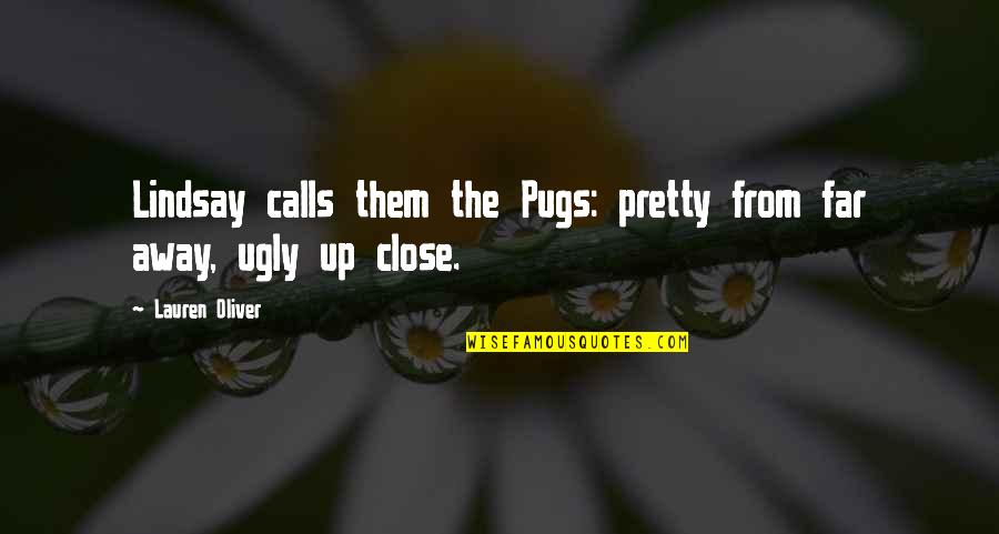 Pugs Funny Quotes By Lauren Oliver: Lindsay calls them the Pugs: pretty from far