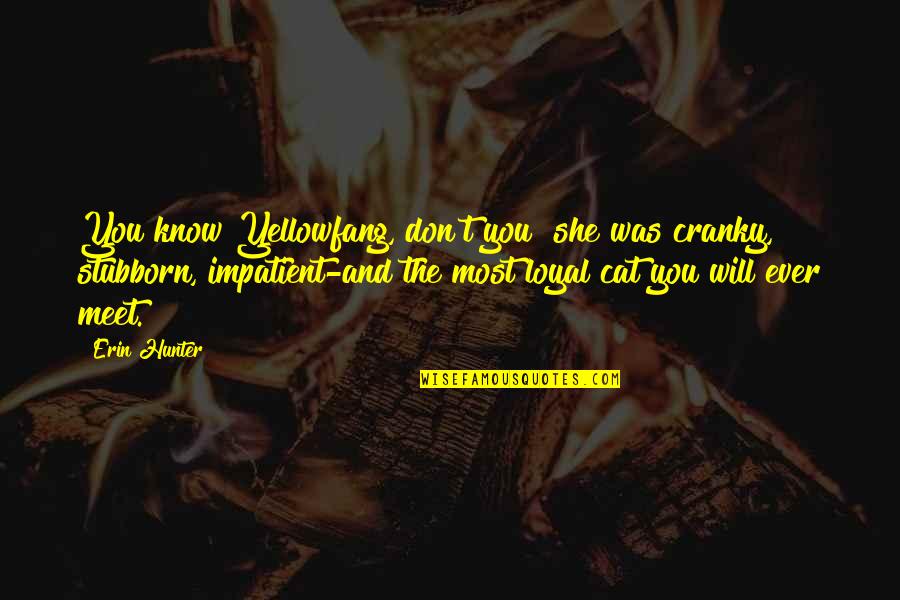 Pulane Sekepe Quotes By Erin Hunter: You know Yellowfang, don't you? she was cranky, Pulane Sekepe Quotes By Erin Hunter: You know Yellowfang, don't you? she was cranky,