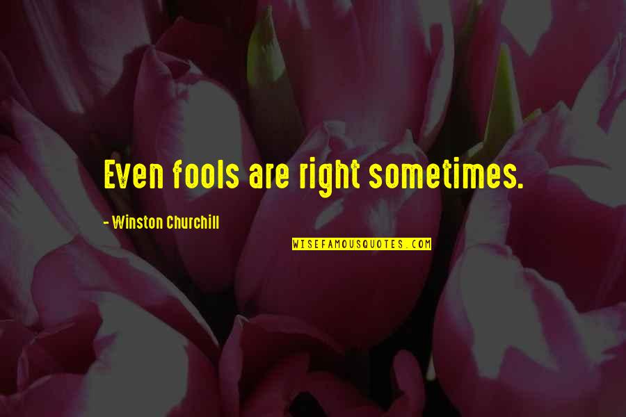 Pulcheria Wikipedia Quotes By Winston Churchill: Even fools are right sometimes.