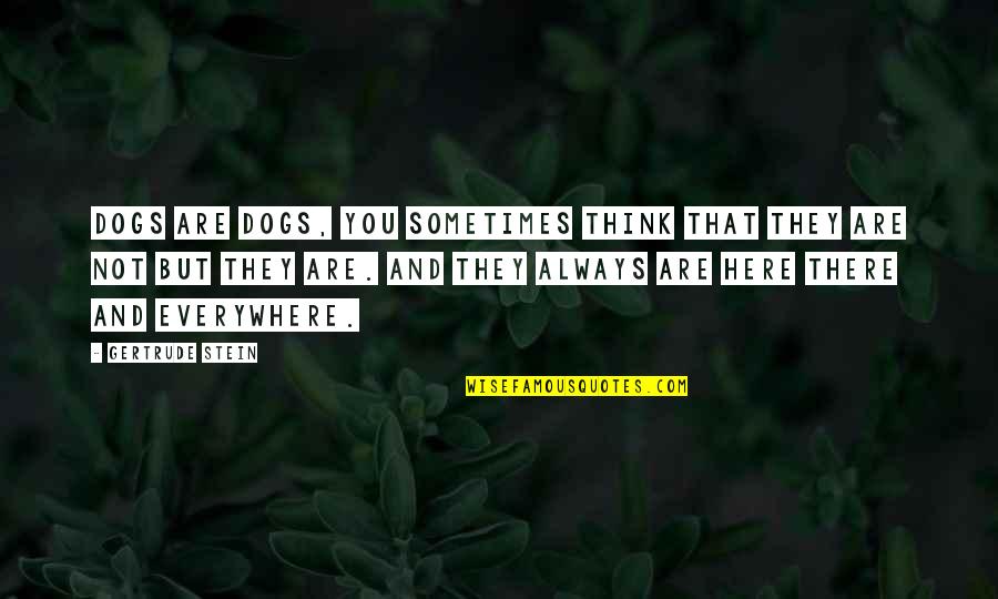 Pulev Quotes By Gertrude Stein: Dogs are dogs, you sometimes think that they
