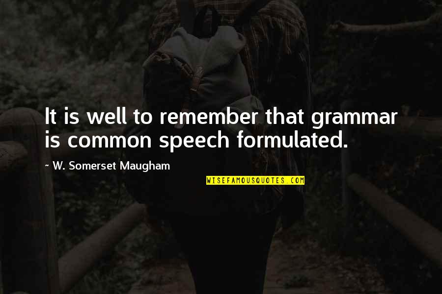 Pull A Face Quotes By W. Somerset Maugham: It is well to remember that grammar is