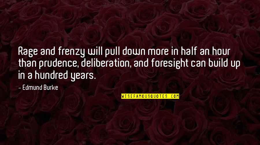 Pull Down Quotes By Edmund Burke: Rage and frenzy will pull down more in Pull Down Quotes By Edmund Burke: Rage and frenzy will pull down more in