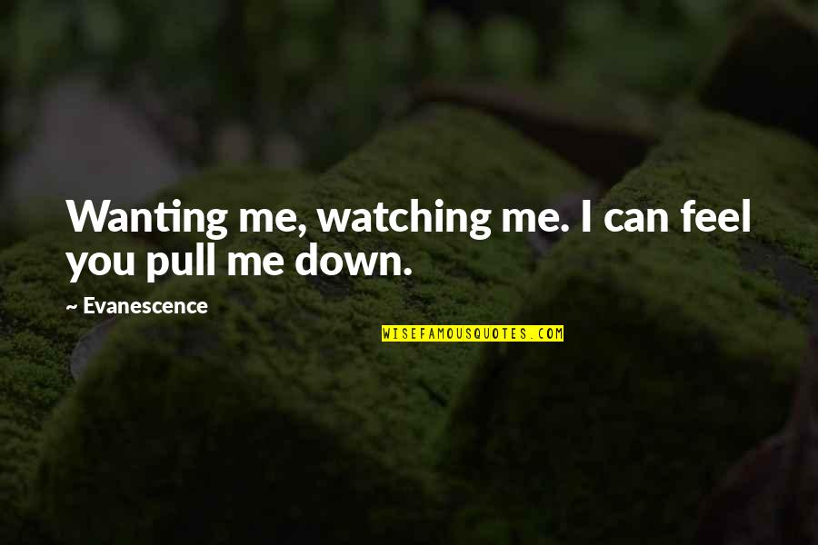 Pull Me Down Quotes By Evanescence: Wanting me, watching me. I can feel you