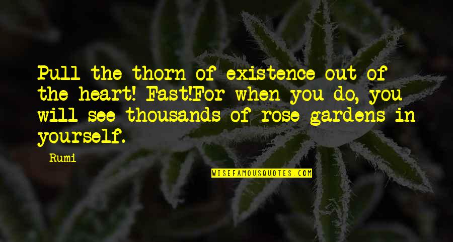Pull Out Quotes By Rumi: Pull the thorn of existence out of the