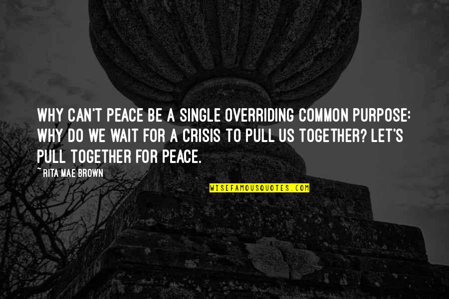 Pull Together Quotes By Rita Mae Brown: Why can't peace be a single overriding common