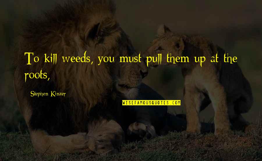Pull Up Quotes By Stephen Kinzer: To kill weeds, you must pull them up