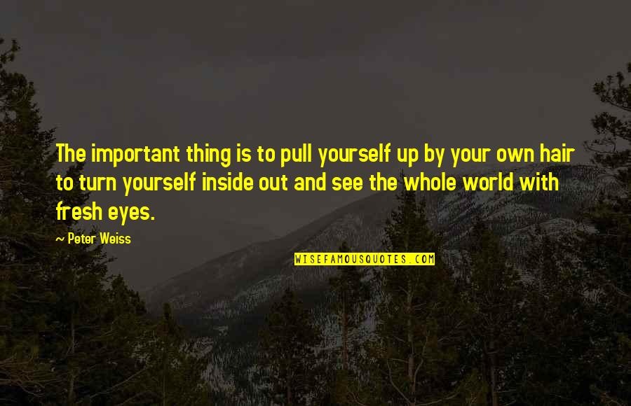 Pull Yourself Up Quotes By Peter Weiss: The important thing is to pull yourself up