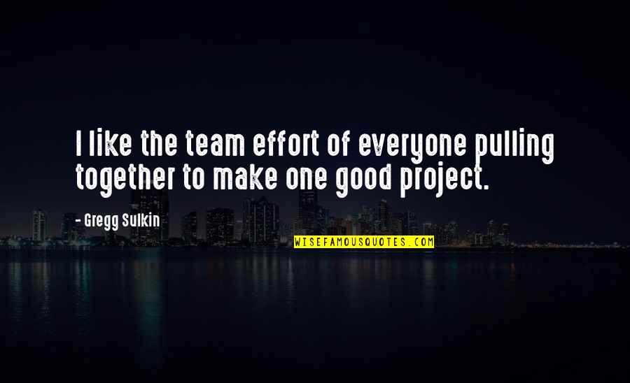 Pulling Together As A Team Quotes By Gregg Sulkin: I like the team effort of everyone pulling