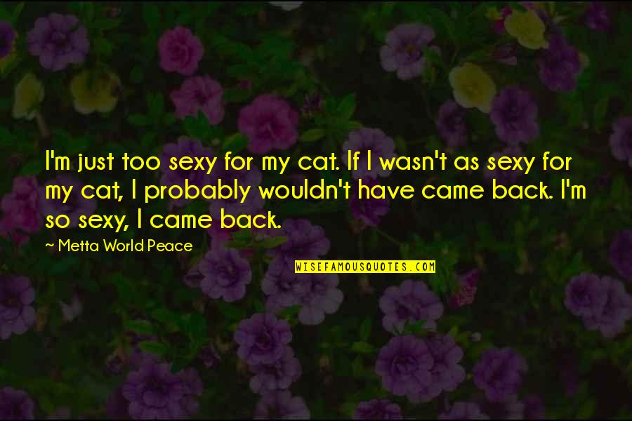 Pulp Fiction Pancakes Quotes By Metta World Peace: I'm just too sexy for my cat. If