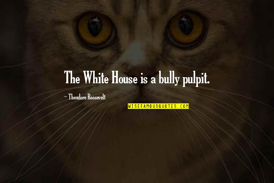 Pulpit's Quotes By Theodore Roosevelt: The White House is a bully pulpit.