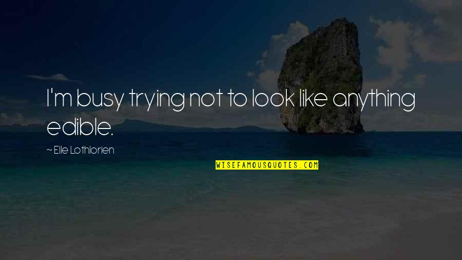 Pulqueria Las Carambolas Quotes By Elle Lothlorien: I'm busy trying not to look like anything Pulqueria Las Carambolas Quotes By Elle Lothlorien: I'm busy trying not to look like anything