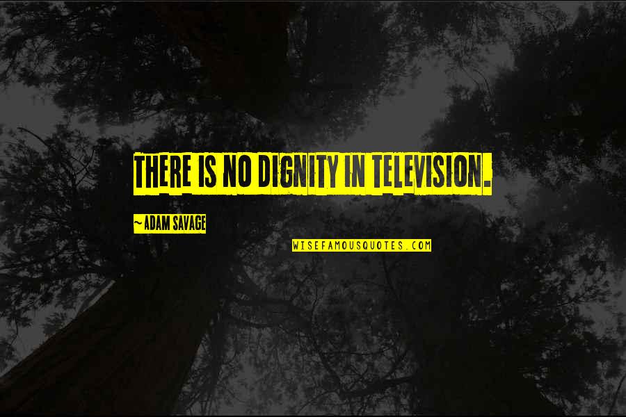 Pulsating Quotes By Adam Savage: There is no dignity in television.