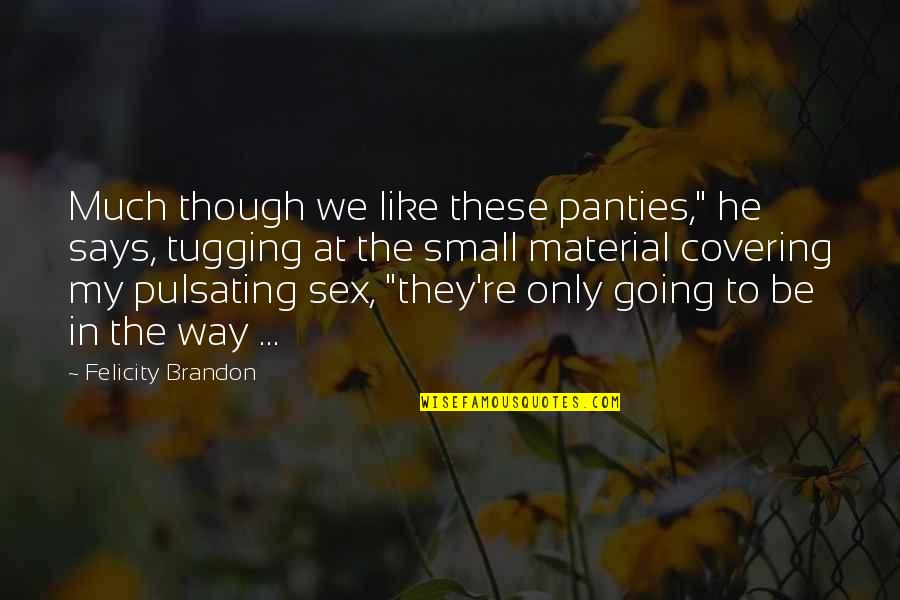 Pulsating Quotes By Felicity Brandon: Much though we like these panties," he says,