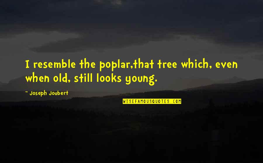 Pulverized Quotes By Joseph Joubert: I resemble the poplar,that tree which, even when