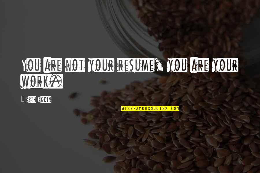 Pulverizes Quotes By Seth Godin: You are not your resume, you are your