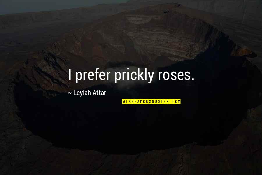 Pummarola Coral Gables Quotes By Leylah Attar: I prefer prickly roses.