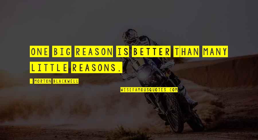 Pummill Relays Quotes By Morton Blackwell: One big reason is better than many little Pummill Relays Quotes By Morton Blackwell: One big reason is better than many little