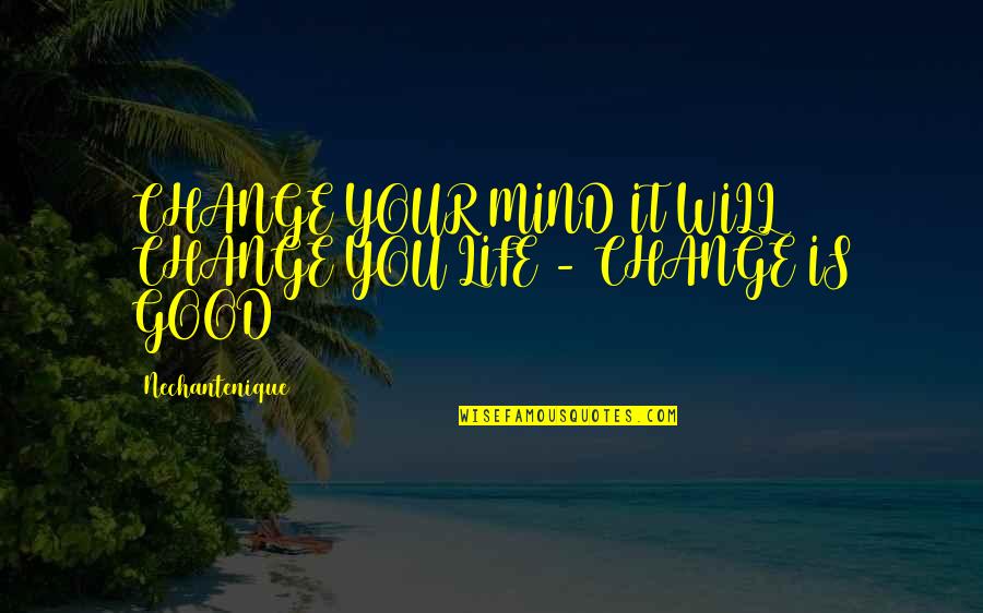 Pumnu De Fier Quotes By Nechantenique: CHANGE YOUR MIND IT WILL CHANGE YOU LIFE
