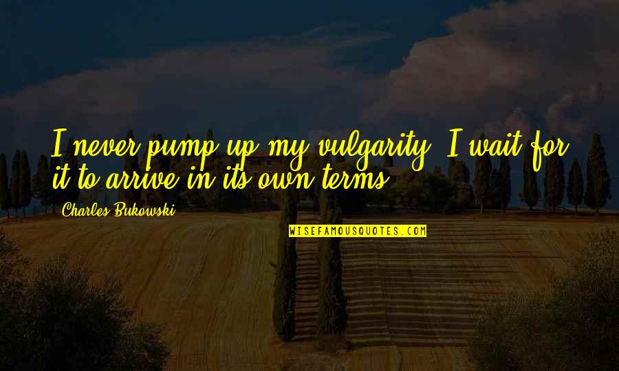 Pump It Quotes By Charles Bukowski: I never pump up my vulgarity. I wait