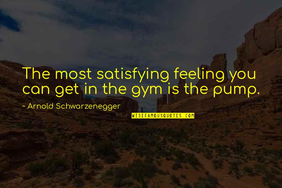 Pump Quotes By Arnold Schwarzenegger: The most satisfying feeling you can get in