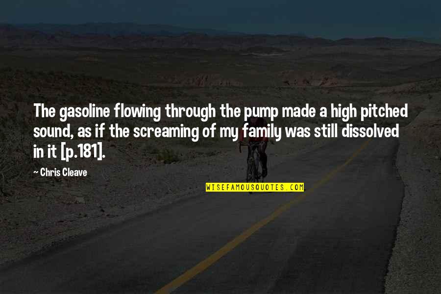 Pump Up Quotes By Chris Cleave: The gasoline flowing through the pump made a