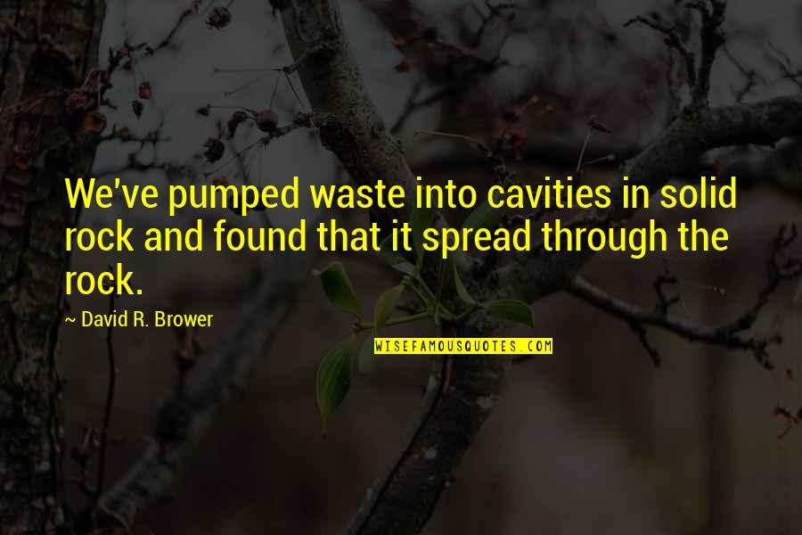 Pumped Quotes By David R. Brower: We've pumped waste into cavities in solid rock
