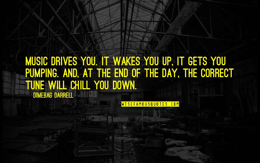 Pumping Up Quotes By Dimebag Darrell: Music drives you. It wakes you up, it
