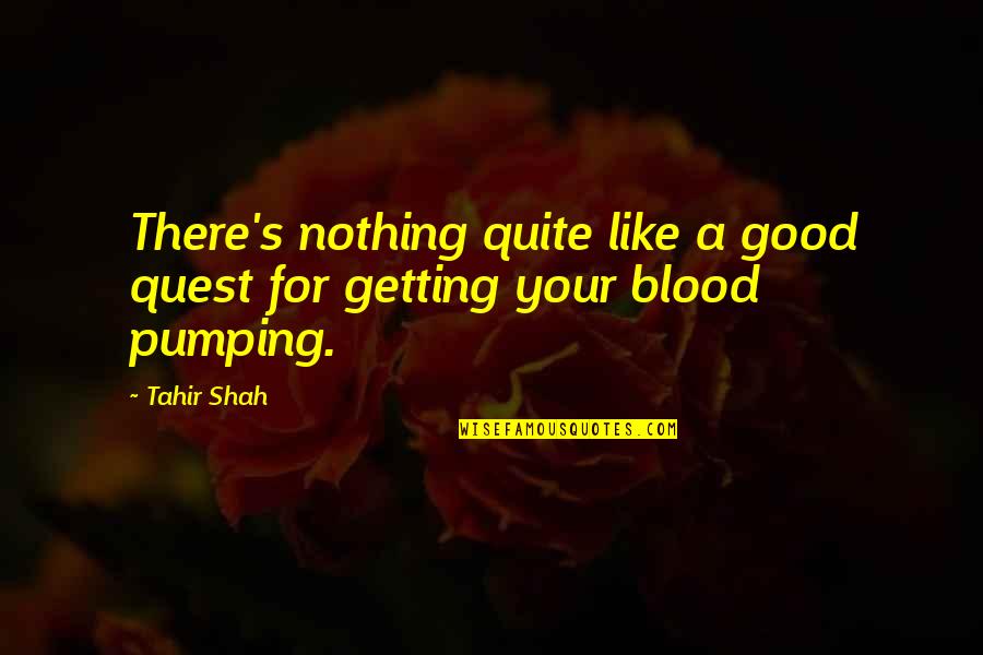Pumping Up Quotes By Tahir Shah: There's nothing quite like a good quest for