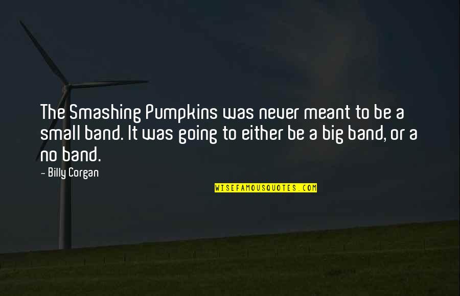 Pumpkin Quotes By Billy Corgan: The Smashing Pumpkins was never meant to be