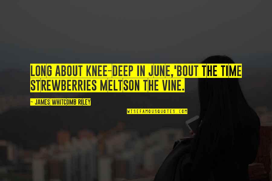 Punchinello Wee Quotes By James Whitcomb Riley: Long about knee-deep in June,'Bout the time strewberries