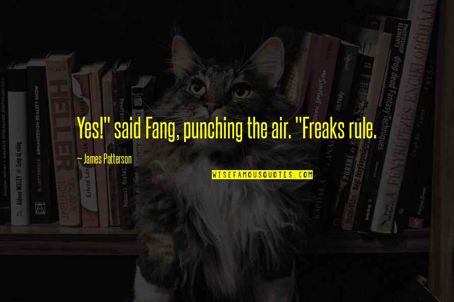 Punching Quotes By James Patterson: Yes!" said Fang, punching the air. "Freaks rule. Punching Quotes By James Patterson: Yes!" said Fang, punching the air. "Freaks rule.