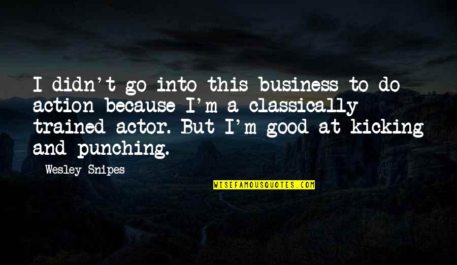 Punching Quotes By Wesley Snipes: I didn't go into this business to do